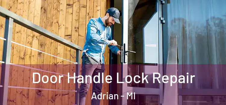  Door Handle Lock Repair Adrian - MI