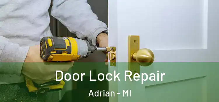  Door Lock Repair Adrian - MI