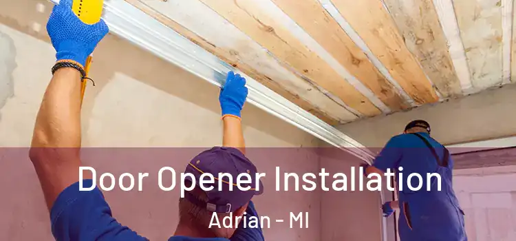  Door Opener Installation Adrian - MI