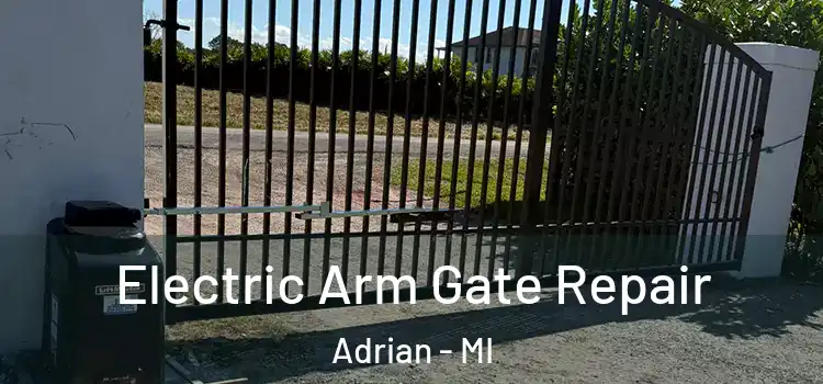  Electric Arm Gate Repair Adrian - MI