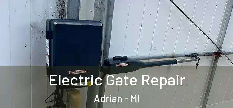  Electric Gate Repair Adrian - MI