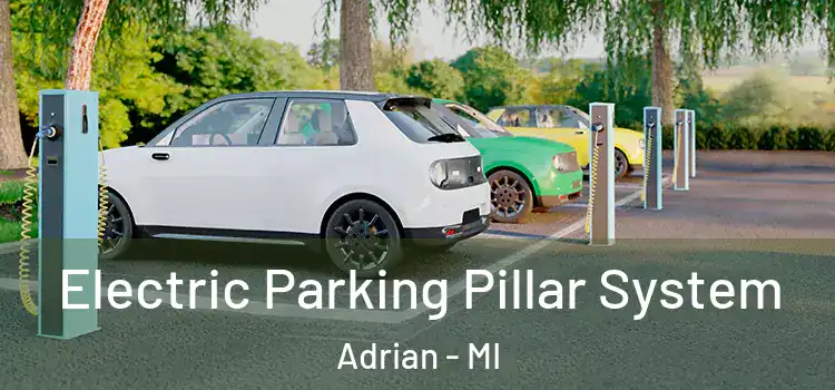  Electric Parking Pillar System Adrian - MI