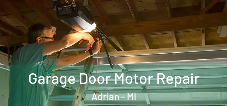  Garage Door Motor Repair Adrian - MI