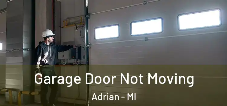  Garage Door Not Moving Adrian - MI