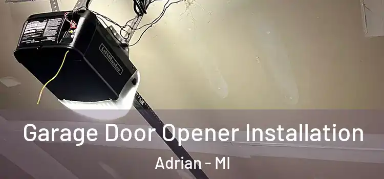  Garage Door Opener Installation Adrian - MI