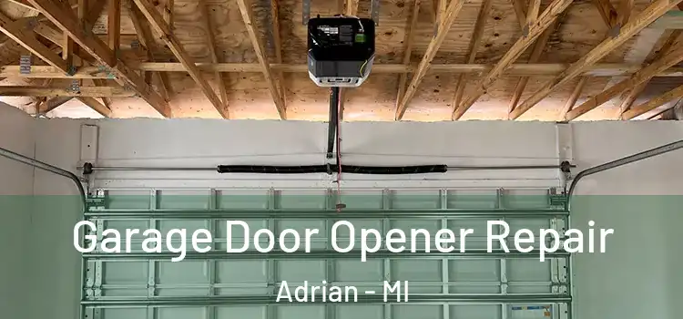  Garage Door Opener Repair Adrian - MI