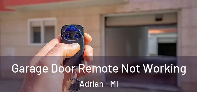  Garage Door Remote Not Working Adrian - MI