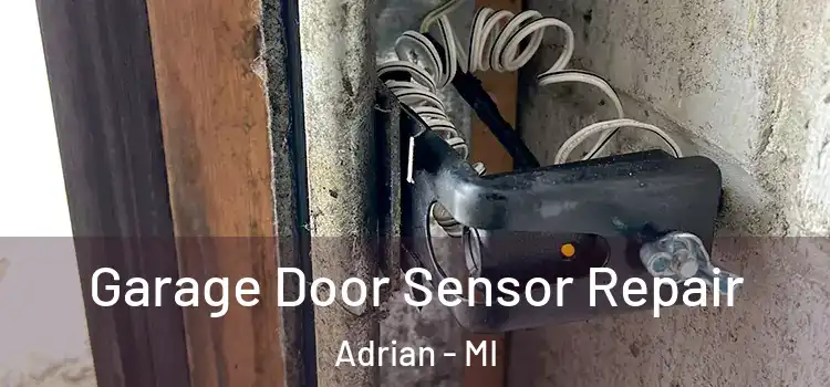  Garage Door Sensor Repair Adrian - MI