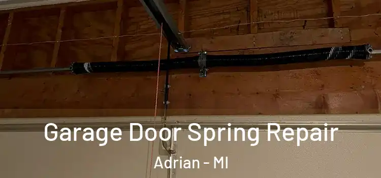  Garage Door Spring Repair Adrian - MI