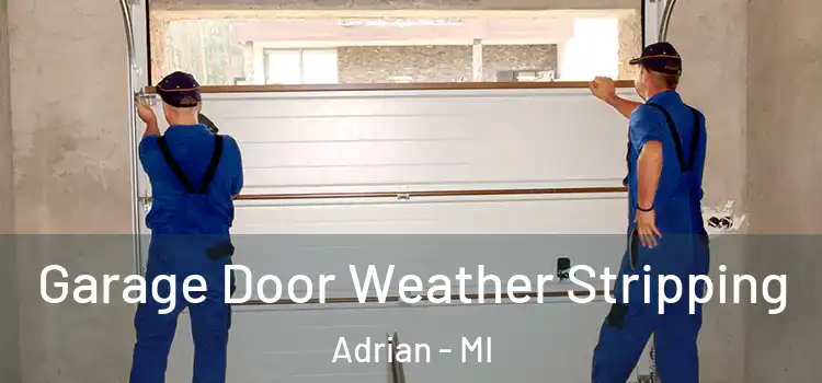  Garage Door Weather Stripping Adrian - MI