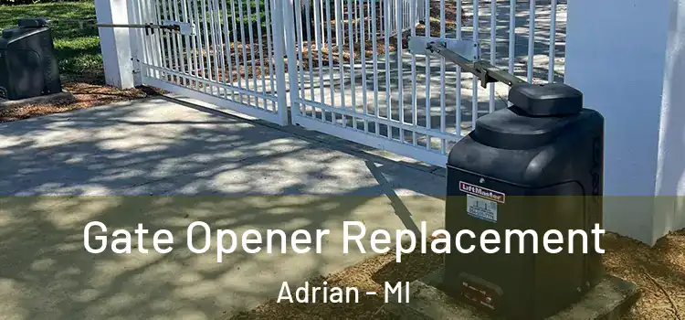  Gate Opener Replacement Adrian - MI