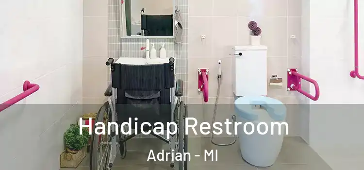  Handicap Restroom Adrian - MI