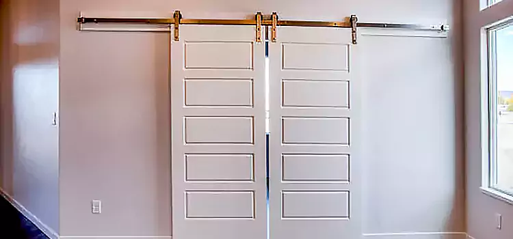 Glass Barn Door with Installation Hardware Kit Adrian