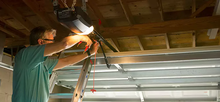 Garage Door Opener Sales and Installation Adrian