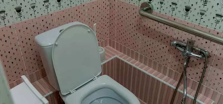 Meeting Diverse Needs With Accessible Restroom Solutions in Adrian, MI