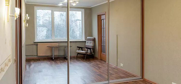 Mirror Closet Door Roller Replacement Adrian