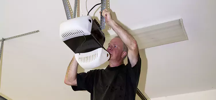 Garage Door Opener Service Adrian