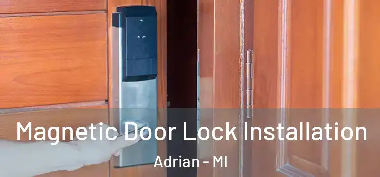  Magnetic Door Lock Installation Adrian - MI