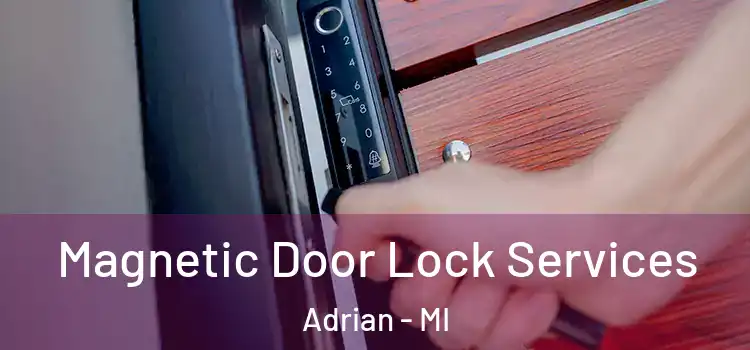  Magnetic Door Lock Services Adrian - MI