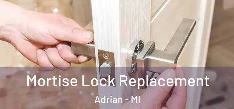  Mortise Lock Replacement Adrian - MI