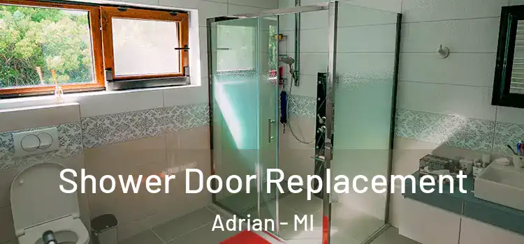  Shower Door Replacement Adrian - MI