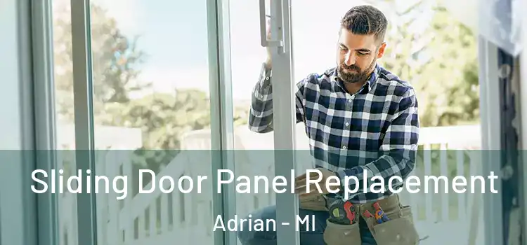  Sliding Door Panel Replacement Adrian - MI