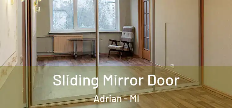  Sliding Mirror Door Adrian - MI